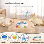 Electric Spinning Turntable Cat Toy – USB Rechargeable Interactive Game for Indoor Cats
