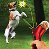 Pet Food Catapult Feeder – Interactive & Fun Treat Launcher