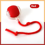 Interactive Super‑Drive Rolling Cat Ball – Rechargeable Motion-Activated Toy