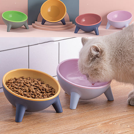 Cat Dog Bowl With Stand – 15° Tilted Elevated Nordic Feeder