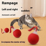 Interactive Super‑Drive Rolling Cat Ball – Rechargeable Motion-Activated Toy