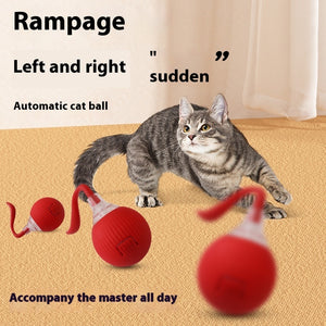 Interactive Super‑Drive Rolling Cat Ball – Rechargeable Motion-Activated Toy
